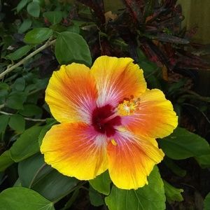 Meet your Posher, Robin